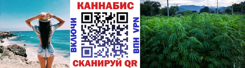Канабис OG Kush  Чишмы 